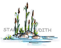 I-214-HK Water Weeds